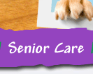 senior care