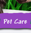 pet care